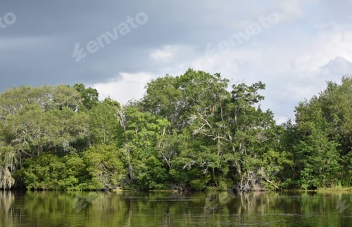 Preview: Dark Storm Clouds Over The Louisiana Bayou In New Orleans.