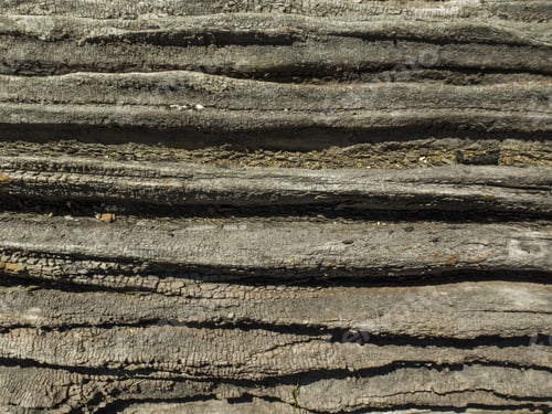 Preview: Weird Tree Bark, Trunk, Cortex Of A Nothofagus. Cracked On An Horizontal Position. Grey Colour.
