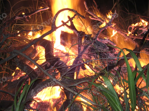 Preview: A Bonfire At Night Time 2008_07_04Frwrks37