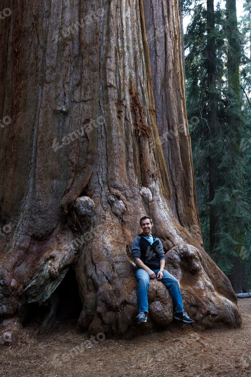 Preview: Young Man Sitting On The Base Of A Giant Sequoia Tree In California
