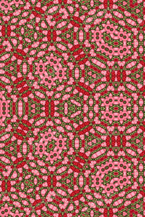 Preview: A Hibiscus Plant Abstract With Bright Pink Flowers