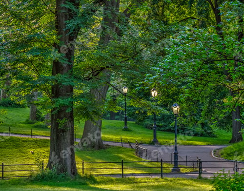 Preview: Spring In Central Park, New York City