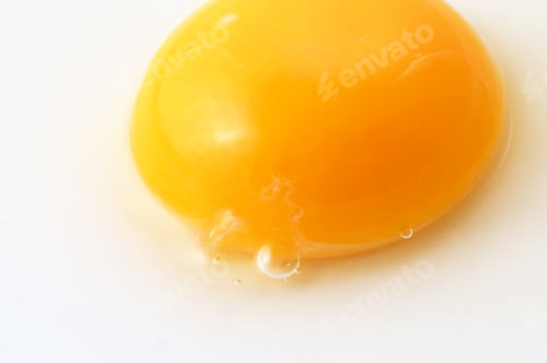 Preview: Raw Egg, Yolk Intact