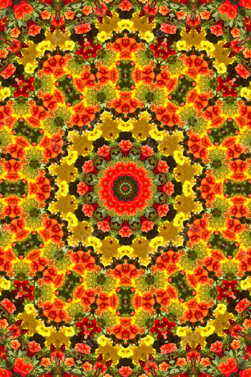 Preview: Abstract Of A Calibrachoa Plant With Bright Multicolor Flowers 1849