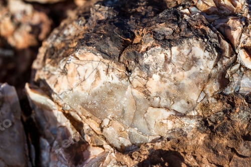 Preview: Close Up Of A Section Of Agate Found In Arches National Park With Cracked And Flakes Filled With