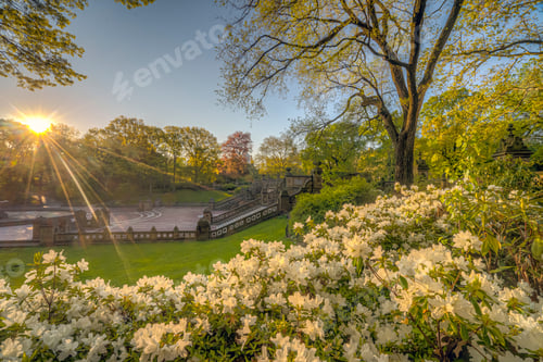 Preview: Bethesda Terrace And Fountain Are Two Architectural Features Overlooking The Lake In New York