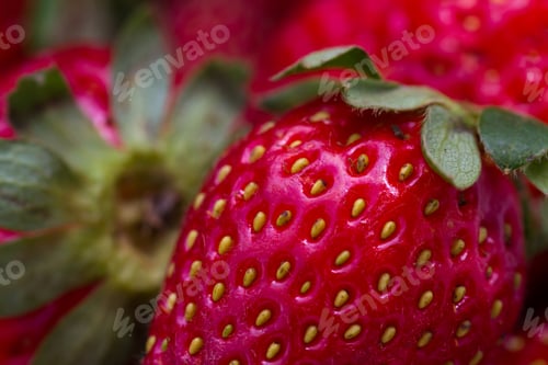 Preview: Close Up Of A Bunch Or Organic Strawberries With A Vibrant Red Color