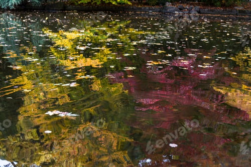 Aperçu: Beautiful Colorful Reflections On The Pond Of Autumn Trees In A Variety Of Colors With Leaves