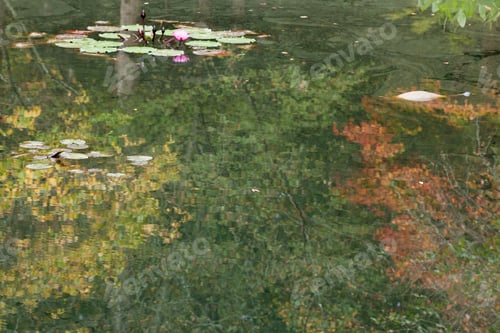 Preview: Autumn Colors Reflected In A Quiet Pond