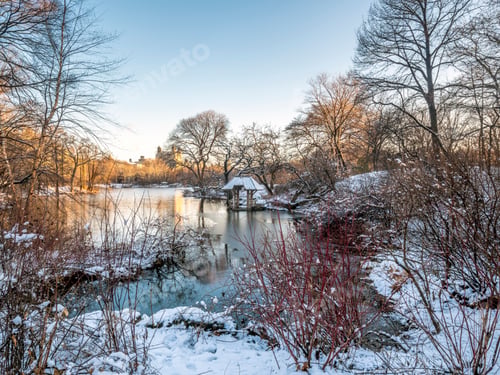 Preview: Wagner Cove In Central Park On Lake
