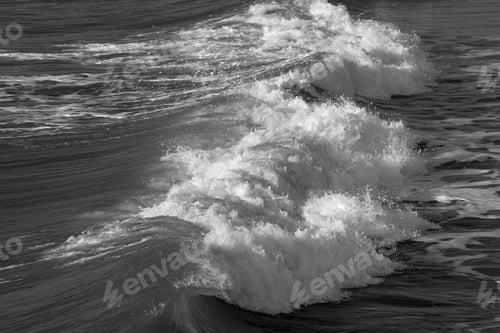 Preview: Ocean Surf In The Sunshine In Black And White