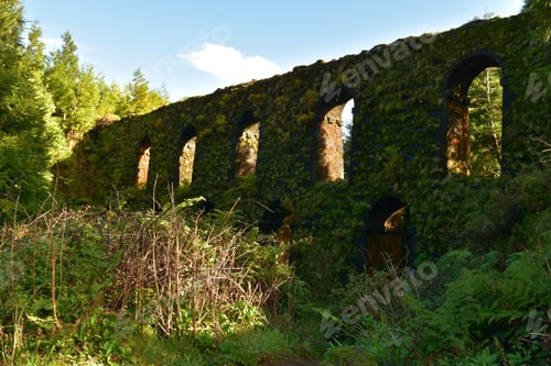 Preview: Towering Moss Covered Aqueduct Near Sete Cidades In Sao Miguel.