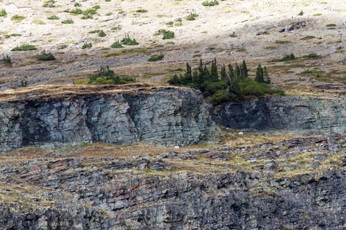 Preview: Natural Scene With Wild Mountain Goats In Rocky Terrain Views Form A Distance In Glacier National