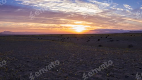 Preview: Sunset In The Flowery Desert Of Atacama, Spring 2017