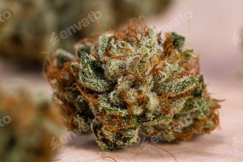 Preview: Close Up Of A Trimmed Cannabis Bud On A Wooden Table