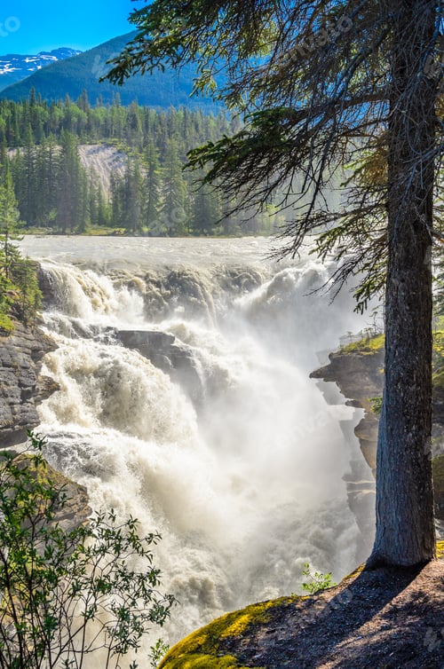 Preview: Athabasca Falls, Jasper National Park, Alberta, Canada