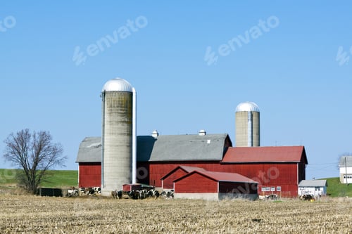 Preview: Farm
