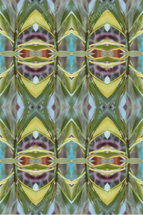 Preview: An Abstract Of Fresh Green Plumeria Rubra Leaves 0043
