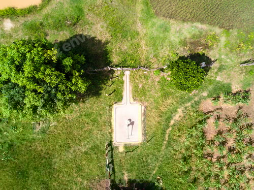 Preview: Aerial Image Of Agriculture Scene In Cambodia. Rice Field In Sunny Day.