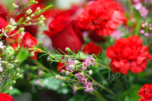 Preview: A Floral Bouquet Arrangement With Crimson Red Carnations And Pink Wax Flowers 8009