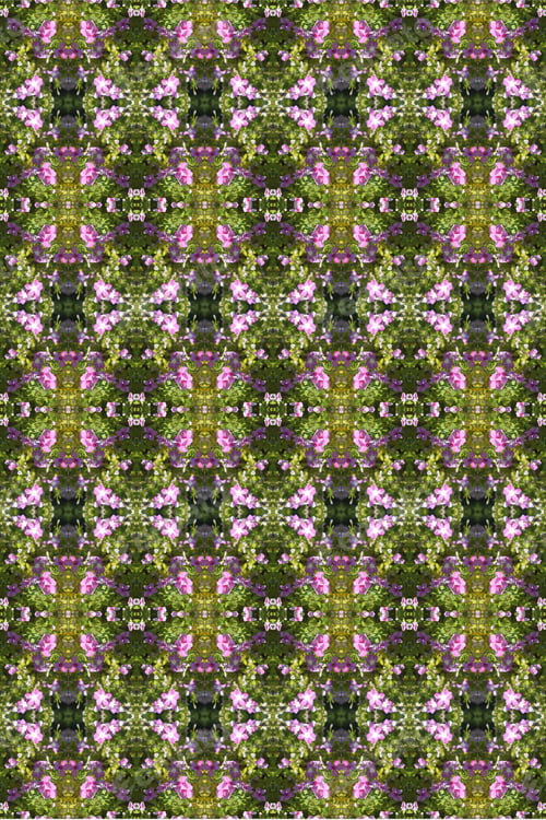Preview: Vinca Plants Abstract With Bright Pink And Purple Flowers 0368