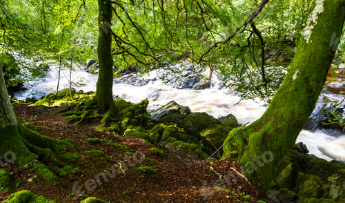 Preview: Beautiful Walking Path In The Scottish Highlands Next To A Rushing River And Large Old Growth Trees