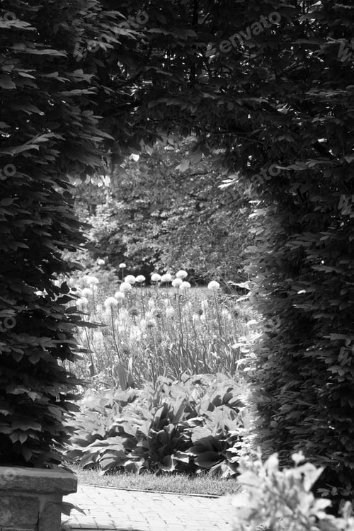 Preview: A Walkway Into A Garden In Black And White