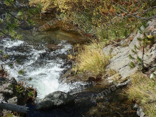 Preview: Fall Colors By A River Outdoors