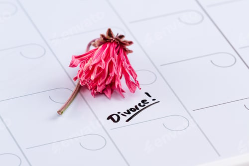 Preview: The Word Divorce Hand Written On A Dry Erase Calendar With A Dead Flower Next To It