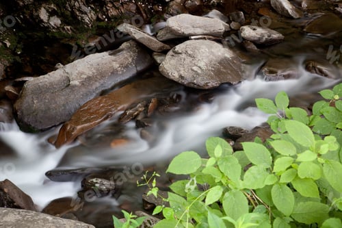 Preview: Clean And Cold Mountain Stream, Rushing By Moss Covered Rocks, A Tourist Paradise From The Great