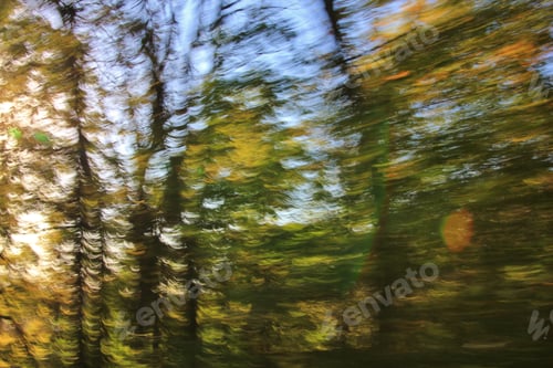 Preview: Nature Background - Blur Of Motion And Imagination - Forest Wonders