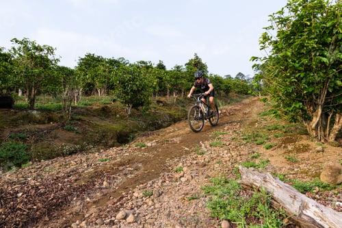 Preview: Heredia, Costa Rica - May 08: Young Man Riding His Mountain Bike On Rough Roads True Coffee