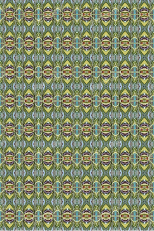 Preview: An Abstract Of Fresh Green Plumeria Rubra Leaves 0043