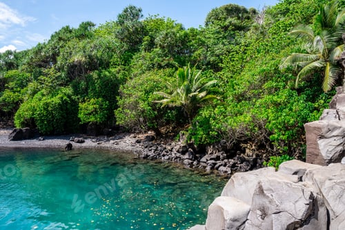 Preview: Gorgeous Lagoon With Turquoise Waters By The Ocean. Lush Jungle And Rocks In The Background. Shot