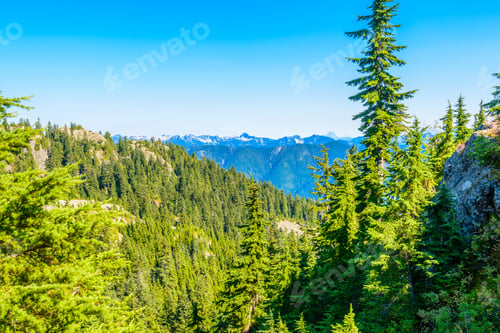 Preview: Fragment Of Mount Seymour Trail In Vancouver, Canada.