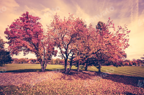 Preview: Autumn
