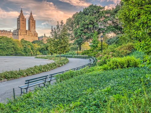 Preview: Central Park, New York City In Early Spring