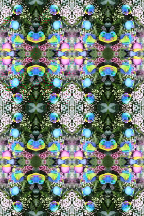 Preview: A Abstract Of Multicolor Roses With Pink Ginestra And Snowy Babys Breath 7637