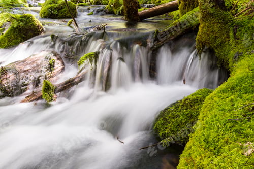 Preview: Close Up Of A Pristine Spring Flowing Thru The Woods In Oregon