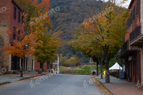 Preview: Colorful Autumn Trees In A Town