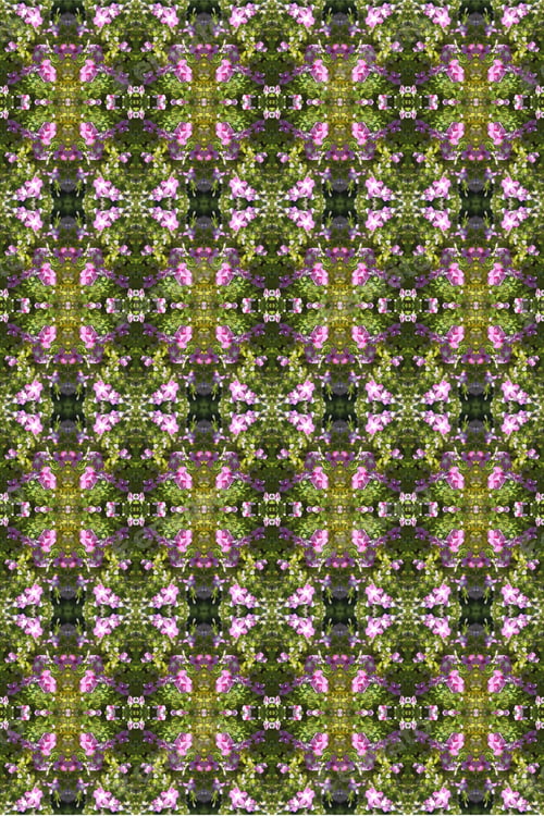 Preview: Vinca Plants Abstract With Bright Pink And Purple Flowers 0368