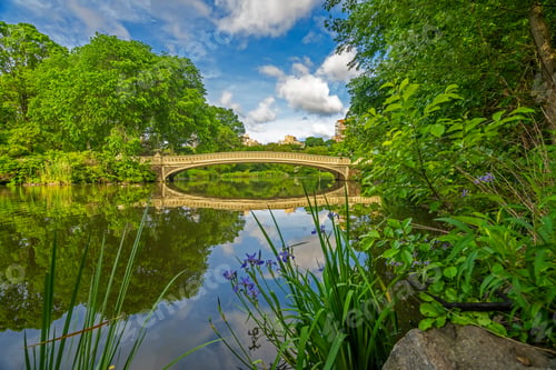 Preview: Bow Bridge, Central Park, New York City In Early Summer
