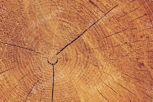 Preview: Wood Background