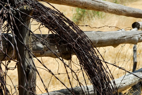 Preview: Artistic Photo Of A Coil Of Barbed Wire On An Old Wooden Fence. Fine Art Photography.