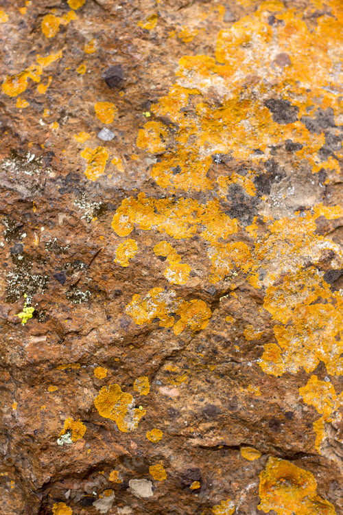 Rock Texture.
