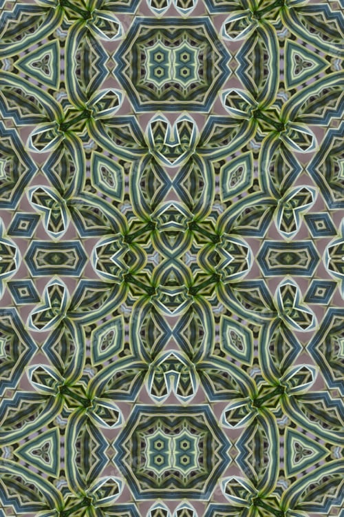 Preview: A Song Of India Dracaena Reflexa Plant Abstract With Brightly Striped Leaves 2677