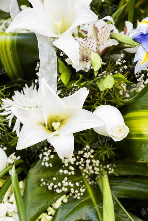 Preview: Flowers