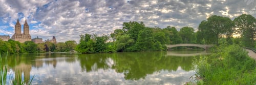 Preview: Bow Bridge, Central Park, New York City Early In The Morning Spring