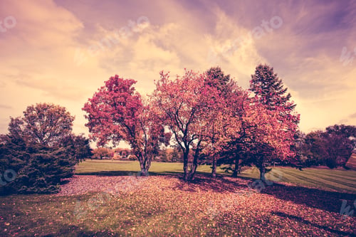 Preview: Autumn