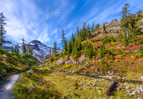 Preview: Fragment Of A Trail In Mount Baker Visitor Center, Wa, Usa.